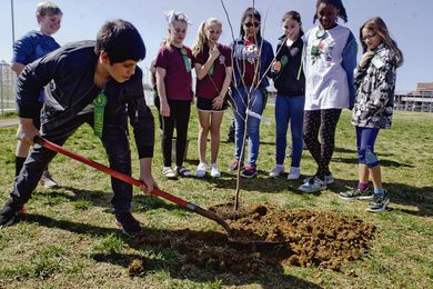 There’s an environmental superhero growing near you