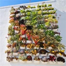 7 Reasons You Should Add a Vertical Garden to Your Home Design Plans