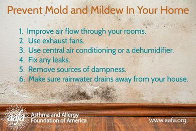 Mold Allergy? 6 Tips to Prevent Mold and Mildew In Your Home