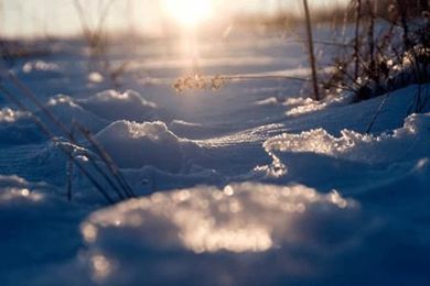 A Filtration Solution For When Spring Has Sprung