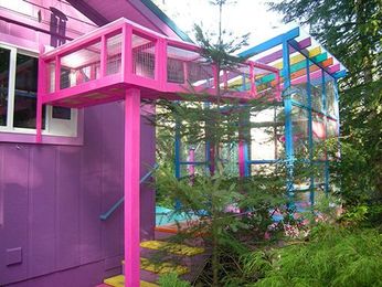 Cat owners everywhere are building 'catios' in their backyard. These photos prove the latest craze is real