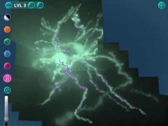 Scientific discovery game significantly speeds up neuroscience research process