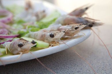 6 Essential Seafood Restaurants in Los Angeles
