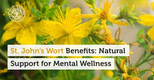 St. John’s Wort Benefits: Natural Support for Mental Wellness