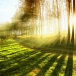 God Uses You & Me to Care for His Creation