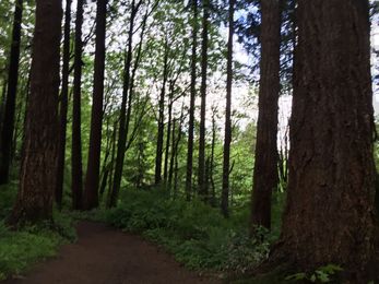 Slow down and celebrate God’s creation