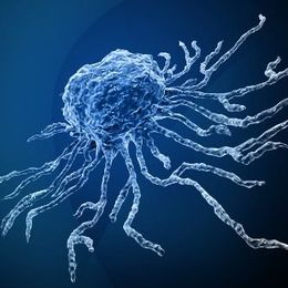 Triggering Stem Cells for Accelerated Healing