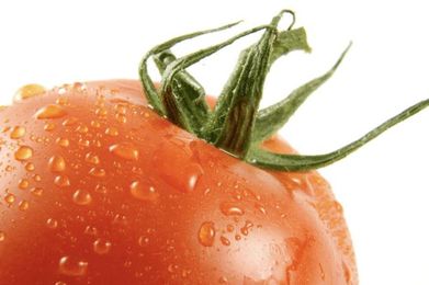 The Pomodoro Technique: Is It Right For You?