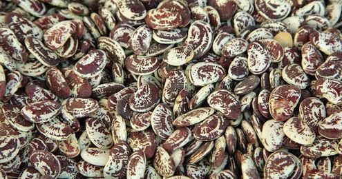 Got seeds to share? Here's your network