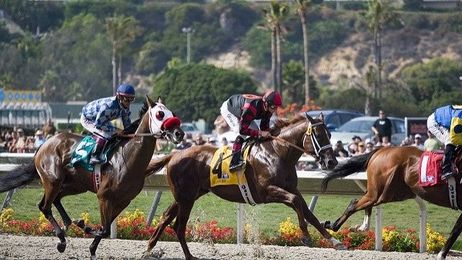 The 7 horse racing tracks you have to visit