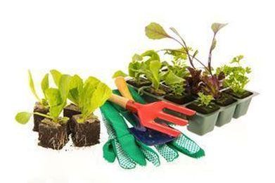 Get out your green thumb