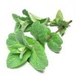 Cool When Hot, Warm When Cold