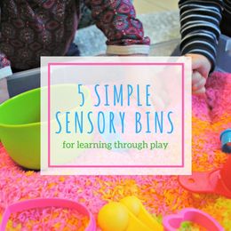 5 Simple Sensory Bins