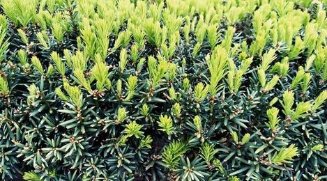8 Ways to Create New Growth from Evergreen Content