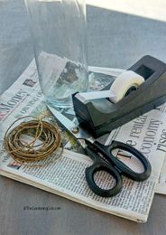 Newspaper Seed Pots are Fun and Easy to Make