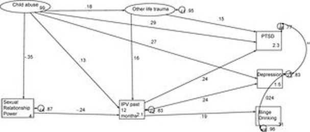 Mental ill health in structural pathways to women’s experiences of intimate partner violence