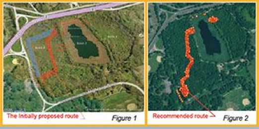 The Consulting Group: Tree Preservation Planning for Construction