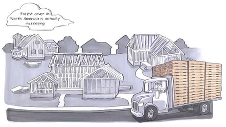 Wood is Nature's Sustainable Packaging