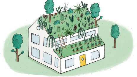 How to install a green roof on a private home