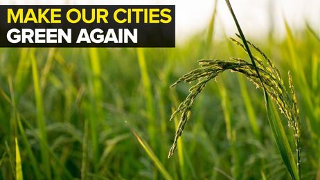 Create your own urban farm with iKheti