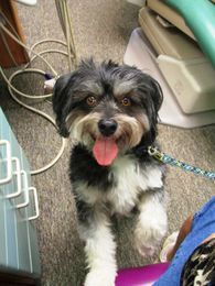 Pittsford Pediatric Dentistry