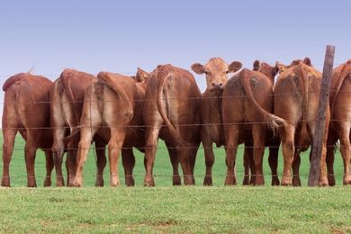 6 Things You Didn’t Know About Alignment