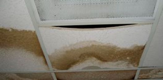 EMERGENCY ROOF LEAK REPAIR services : emergency roof leak repair