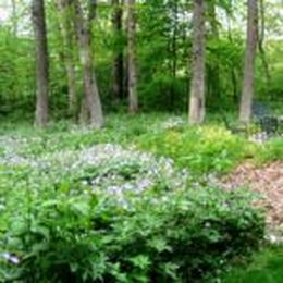 We’re Not Just About Prairie