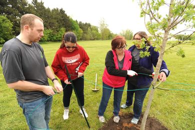 Complete Payroll plants 25 trees for 25 years in business