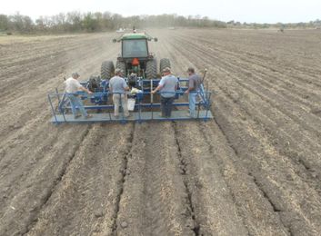 Drip irrigation adds consistent yields, fertilizer efficiency