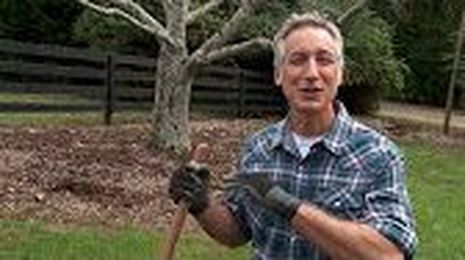 The Certified Compost Channel