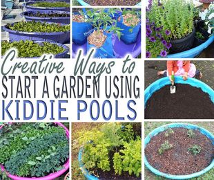Creative Ways to Start a Garden Using Kiddie Pools * My Stay At Home Adventures
