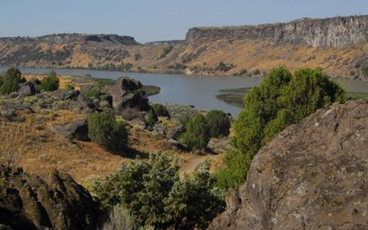 If fishing motivates your camping, here are some Idaho destinations to try