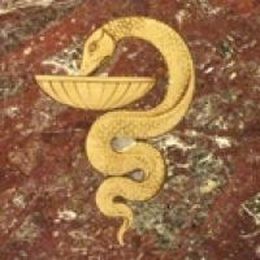 Let’s Digitize! Building the Library’s Digital Lab