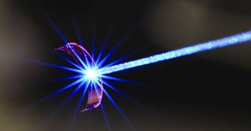 This ultra-twee soft robotic gripper was inspired by Venus flytraps