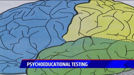 Wedgwood Christian Services launches program, helps kids understand their brains
