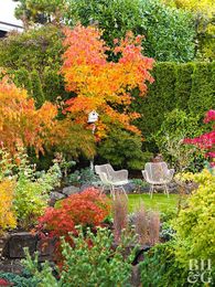 7 Steps to a Perfectly Planted Tree or Shrub 