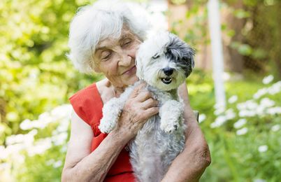 Help for Pets of Dying Owners Brings Peace of Mind