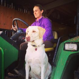 Five Rules For Success in the Horse Industry