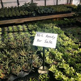 Understand where your plants came from