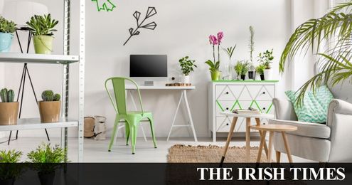 Make your rental feel like home 