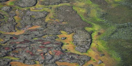 Thawing Arctic peatlands could release potent greenhouse gas