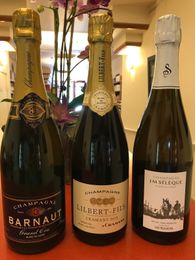 Friday Nite Tasting 'Grower Champagne' with Susan Thornett of Vintage