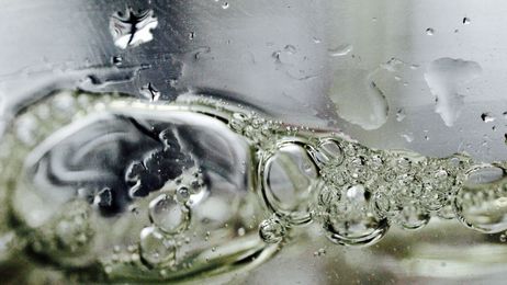 It turns out that we may have more than five basic tastes