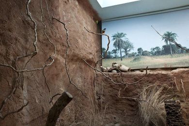 The Murals That Zoos Use to Make Us Forget the Cages