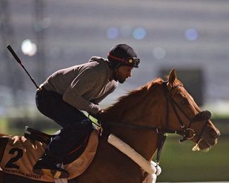 Mind Your Biscuits Gets Back to Work