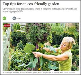 The Wrong Way to Teach Eco-Friendly Gardening