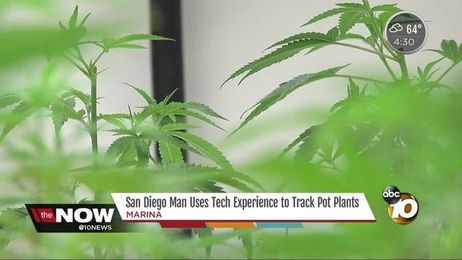San Diego Man Uses Tech Experience to Better Track Pot Plants