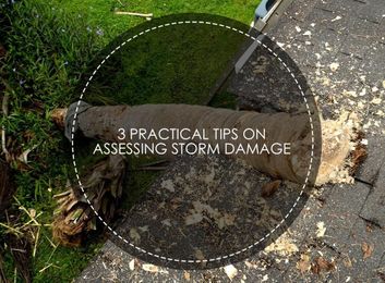 3 Practical Tips on Assessing Storm Damage