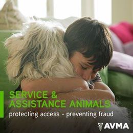 New resources offer education on service, support and therapy animals